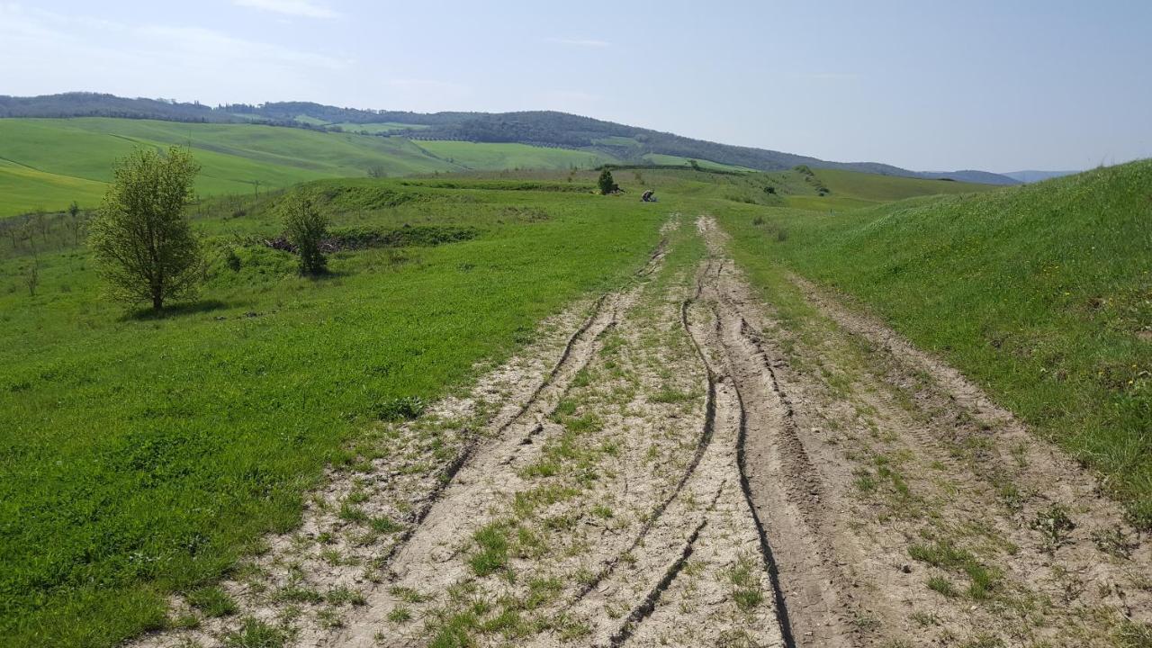 סיינה Dago Farmhouse מראה חיצוני תמונה